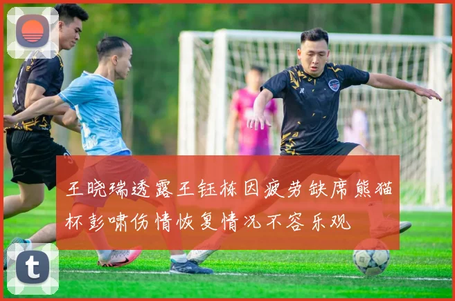 王晓瑞透露王钰栋因疲劳缺席熊猫杯彭啸伤情恢复情况不容乐观