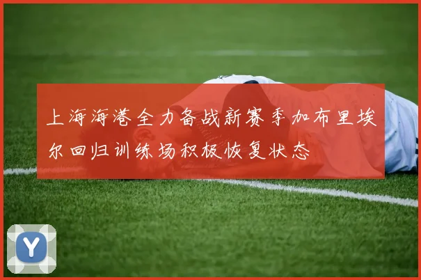 上海海港全力备战新赛季加布里埃尔回归训练场积极恢复状态