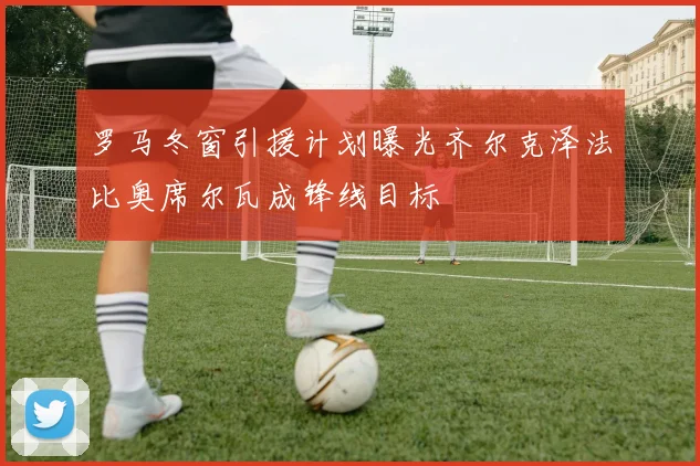 罗马冬窗引援计划曝光齐尔克泽法比奥席尔瓦成锋线目标